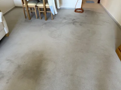 Vorher - ungereinigt